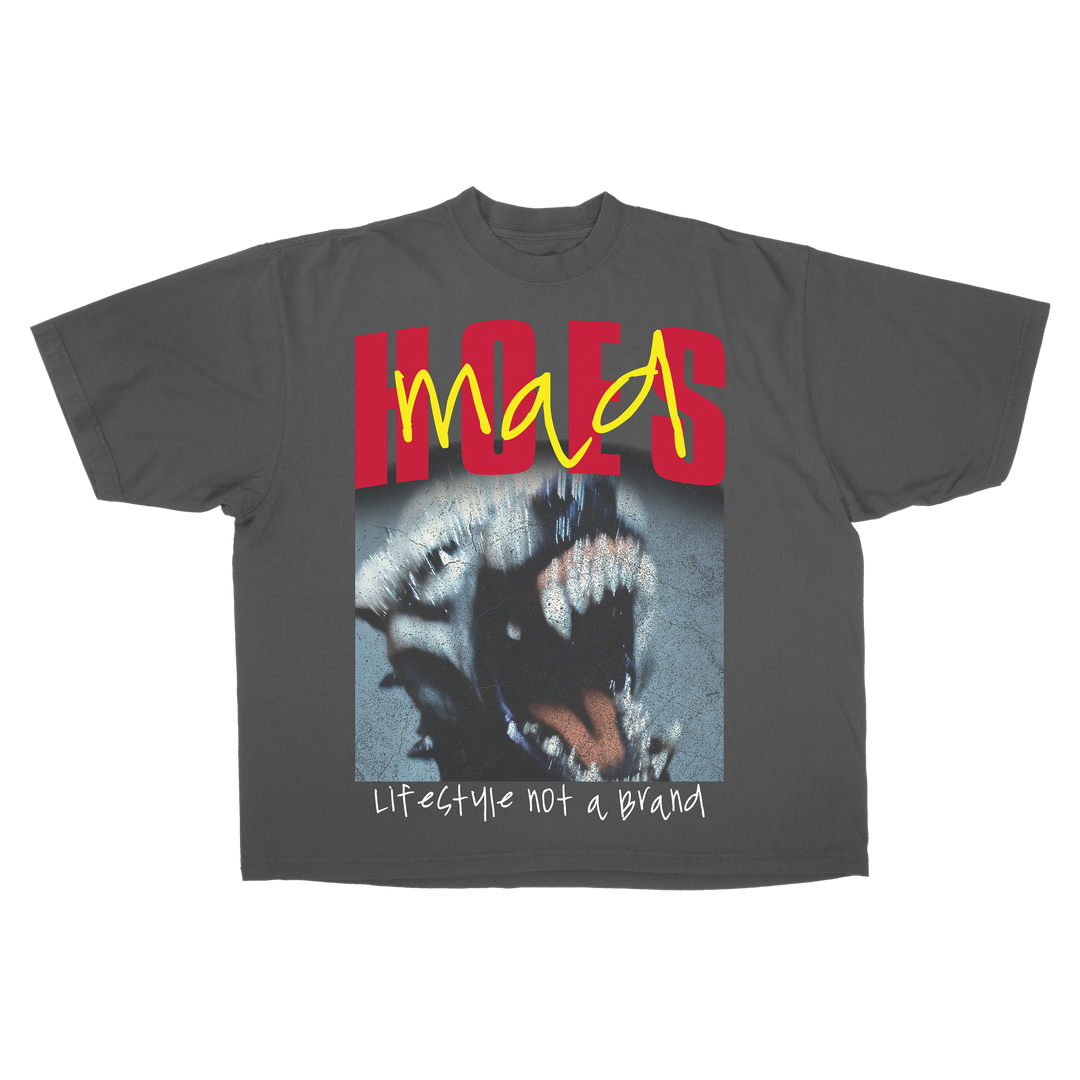 Hoesmad Disco Dog Tee (Vintage Grey)